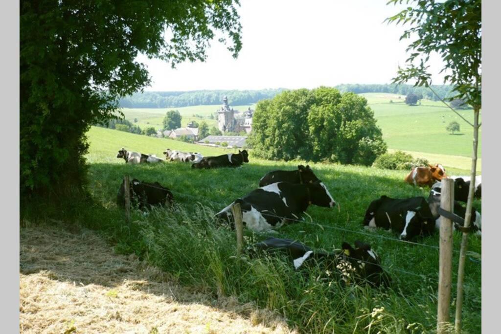 Hoeve Espewey Cottage Hombourg Экстерьер фото