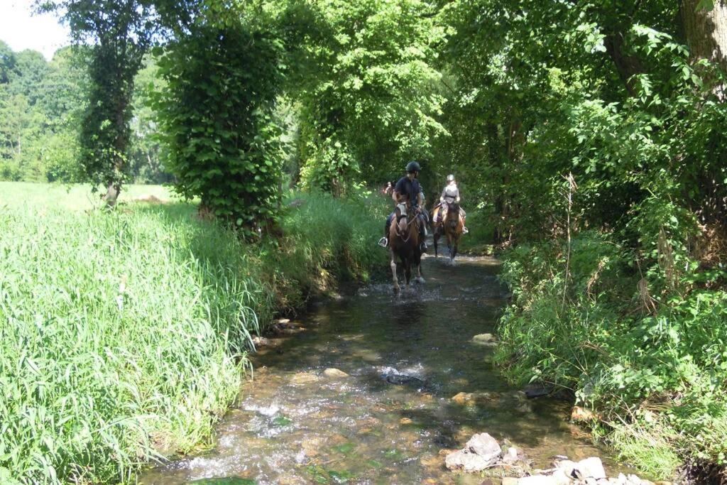 Hoeve Espewey Cottage Hombourg Экстерьер фото
